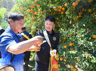 ลงพื้นที่เยี่ยมชมการจัดการสวนส้มปลอดภัยตามมาตรฐาน GAP ... พารามิเตอร์รูปภาพ 27