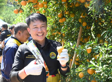 ลงพื้นที่เยี่ยมชมการจัดการสวนส้มปลอดภัยตามมาตรฐาน GAP ... พารามิเตอร์รูปภาพ 30