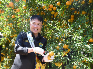 ลงพื้นที่เยี่ยมชมการจัดการสวนส้มปลอดภัยตามมาตรฐาน GAP ... พารามิเตอร์รูปภาพ 33