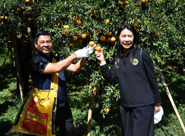 ลงพื้นที่เยี่ยมชมการจัดการสวนส้มปลอดภัยตามมาตรฐาน GAP ... พารามิเตอร์รูปภาพ 34