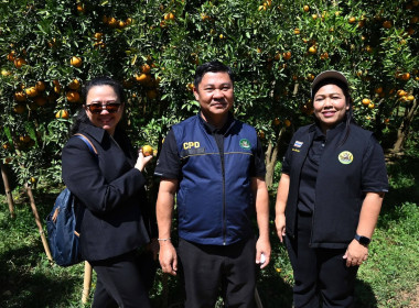 ลงพื้นที่เยี่ยมชมการจัดการสวนส้มปลอดภัยตามมาตรฐาน GAP ... พารามิเตอร์รูปภาพ 35