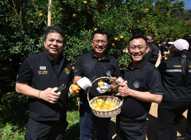 ลงพื้นที่เยี่ยมชมการจัดการสวนส้มปลอดภัยตามมาตรฐาน GAP ... พารามิเตอร์รูปภาพ 37