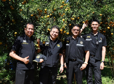 ลงพื้นที่เยี่ยมชมการจัดการสวนส้มปลอดภัยตามมาตรฐาน GAP ... พารามิเตอร์รูปภาพ 38