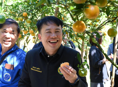 ลงพื้นที่เยี่ยมชมการจัดการสวนส้มปลอดภัยตามมาตรฐาน GAP ... พารามิเตอร์รูปภาพ 40