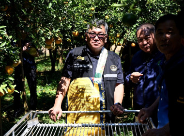 ลงพื้นที่เยี่ยมชมการจัดการสวนส้มปลอดภัยตามมาตรฐาน GAP ... พารามิเตอร์รูปภาพ 41