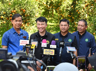 ลงพื้นที่เยี่ยมชมการจัดการสวนส้มปลอดภัยตามมาตรฐาน GAP ... พารามิเตอร์รูปภาพ 42