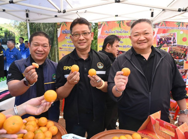 ลงพื้นที่เยี่ยมชมการจัดการสวนส้มปลอดภัยตามมาตรฐาน GAP ... พารามิเตอร์รูปภาพ 43