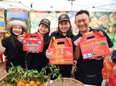 ลงพื้นที่เยี่ยมชมการจัดการสวนส้มปลอดภัยตามมาตรฐาน GAP ... พารามิเตอร์รูปภาพ 44