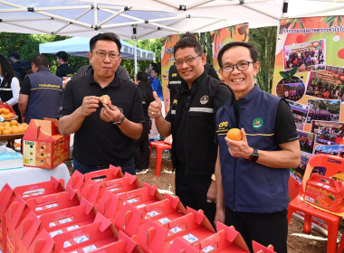 ลงพื้นที่เยี่ยมชมการจัดการสวนส้มปลอดภัยตามมาตรฐาน GAP ... พารามิเตอร์รูปภาพ 46