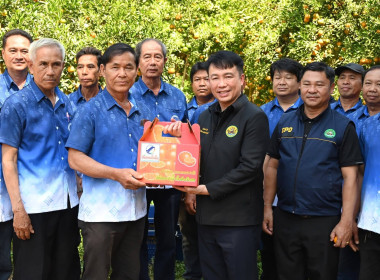 ลงพื้นที่เยี่ยมชมการจัดการสวนส้มปลอดภัยตามมาตรฐาน GAP ... พารามิเตอร์รูปภาพ 48