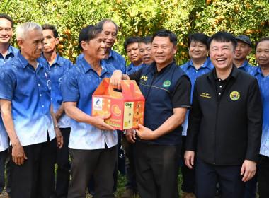 ลงพื้นที่เยี่ยมชมการจัดการสวนส้มปลอดภัยตามมาตรฐาน GAP ... พารามิเตอร์รูปภาพ 49