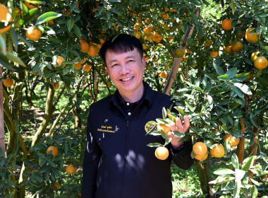 ลงพื้นที่เยี่ยมชมการจัดการสวนส้มปลอดภัยตามมาตรฐาน GAP ... พารามิเตอร์รูปภาพ 50