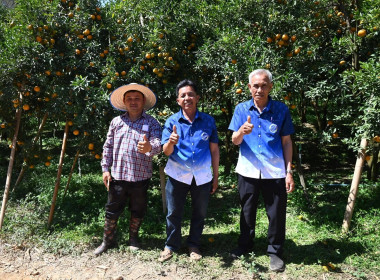 ลงพื้นที่เยี่ยมชมการจัดการสวนส้มปลอดภัยตามมาตรฐาน GAP ... พารามิเตอร์รูปภาพ 51