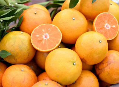 ลงพื้นที่เยี่ยมชมการจัดการสวนส้มปลอดภัยตามมาตรฐาน GAP ... พารามิเตอร์รูปภาพ 58