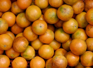 ลงพื้นที่เยี่ยมชมการจัดการสวนส้มปลอดภัยตามมาตรฐาน GAP ... พารามิเตอร์รูปภาพ 59