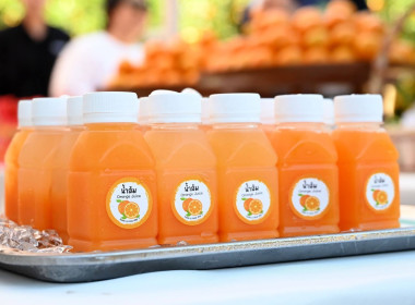 ลงพื้นที่เยี่ยมชมการจัดการสวนส้มปลอดภัยตามมาตรฐาน GAP ... พารามิเตอร์รูปภาพ 62