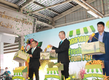 รองอธิบดีฯ ร่วมเปิดงาน “ติดตลาดเกษตร Fresh Fruits From Farm” พารามิเตอร์รูปภาพ 14