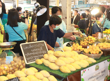 รองอธิบดีฯ ร่วมเปิดงาน “ติดตลาดเกษตร Fresh Fruits From Farm” พารามิเตอร์รูปภาพ 22