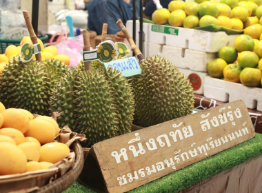 รองอธิบดีฯ ร่วมเปิดงาน “ติดตลาดเกษตร Fresh Fruits From Farm” พารามิเตอร์รูปภาพ 23