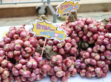 ผอ. สทส. ร่วมกิจกรรมสาธิตการทำเมนูอาหารจากหอมแดง พารามิเตอร์รูปภาพ 21