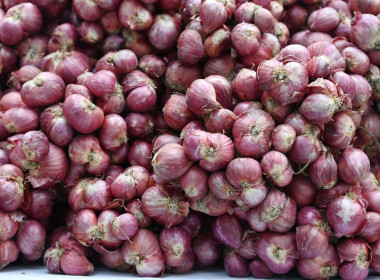 ผอ. สทส. ร่วมกิจกรรมสาธิตการทำเมนูอาหารจากหอมแดง พารามิเตอร์รูปภาพ 23