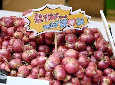 ผอ. สทส. ร่วมกิจกรรมสาธิตการทำเมนูอาหารจากหอมแดง พารามิเตอร์รูปภาพ 58