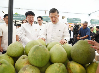 Co-op Market Fair 2026 พลังสหกรณ์ ขับเคลื่อนสินค้าอัตลักษณ์ พารามิเตอร์รูปภาพ 8