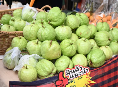 Co-op Market Fair 2026 พลังสหกรณ์ ขับเคลื่อนสินค้าอัตลักษณ์ พารามิเตอร์รูปภาพ 9