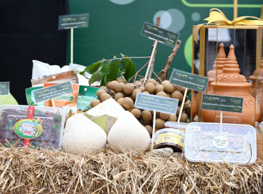 Co-op Market Fair 2026 พลังสหกรณ์ ขับเคลื่อนสินค้าอัตลักษณ์ พารามิเตอร์รูปภาพ 32