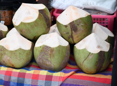 Co-op Market Fair 2026 พลังสหกรณ์ ขับเคลื่อนสินค้าอัตลักษณ์ พารามิเตอร์รูปภาพ 48