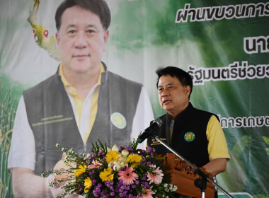 “รักนะจึงให้หอม (หอมหัวใหญ่) เชียงใหม่เน้อจ้าว” พารามิเตอร์รูปภาพ 1