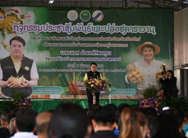 “รักนะจึงให้หอม (หอมหัวใหญ่) เชียงใหม่เน้อจ้าว” พารามิเตอร์รูปภาพ 2