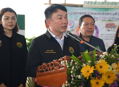 “รักนะจึงให้หอม (หอมหัวใหญ่) เชียงใหม่เน้อจ้าว” พารามิเตอร์รูปภาพ 3