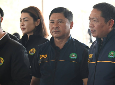 “รักนะจึงให้หอม (หอมหัวใหญ่) เชียงใหม่เน้อจ้าว” พารามิเตอร์รูปภาพ 11