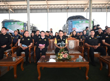 “รักนะจึงให้หอม (หอมหัวใหญ่) เชียงใหม่เน้อจ้าว” พารามิเตอร์รูปภาพ 13