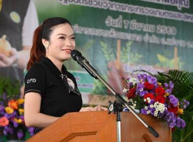 “รักนะจึงให้หอม (หอมหัวใหญ่) เชียงใหม่เน้อจ้าว” พารามิเตอร์รูปภาพ 19