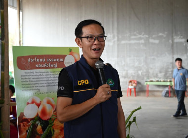 “รักนะจึงให้หอม (หอมหัวใหญ่) เชียงใหม่เน้อจ้าว” พารามิเตอร์รูปภาพ 20