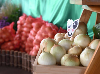 “รักนะจึงให้หอม (หอมหัวใหญ่) เชียงใหม่เน้อจ้าว” พารามิเตอร์รูปภาพ 64