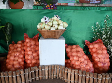 “รักนะจึงให้หอม (หอมหัวใหญ่) เชียงใหม่เน้อจ้าว” พารามิเตอร์รูปภาพ 68