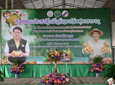 “รักนะจึงให้หอม (หอมหัวใหญ่) เชียงใหม่เน้อจ้าว” พารามิเตอร์รูปภาพ 70