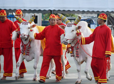 ซ้อมใหญ่ ครั้งที่ 2 พระราชพิธีพืชมงคลฯ 2569 พารามิเตอร์รูปภาพ 25