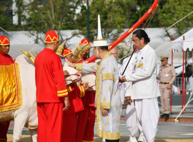 ซ้อมใหญ่ ครั้งที่ 2 พระราชพิธีพืชมงคลฯ 2569 พารามิเตอร์รูปภาพ 30