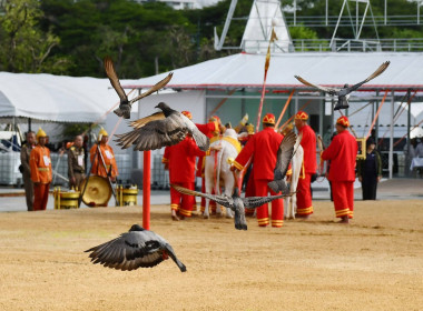 ซ้อมใหญ่ ครั้งที่ 2 พระราชพิธีพืชมงคลฯ 2569 พารามิเตอร์รูปภาพ 34