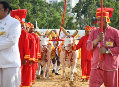 ซ้อมใหญ่ ครั้งที่ 2 พระราชพิธีพืชมงคลฯ 2569 พารามิเตอร์รูปภาพ 35