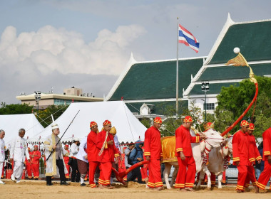 ซ้อมใหญ่ ครั้งที่ 2 พระราชพิธีพืชมงคลฯ 2569 พารามิเตอร์รูปภาพ 42