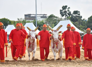 ซ้อมใหญ่ ครั้งที่ 2 พระราชพิธีพืชมงคลฯ 2569 พารามิเตอร์รูปภาพ 44