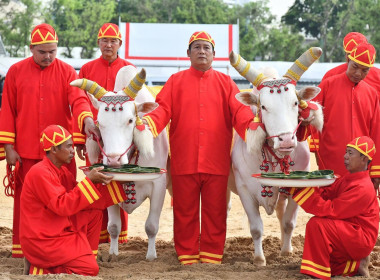 ซ้อมใหญ่ ครั้งที่ 2 พระราชพิธีพืชมงคลฯ 2569 พารามิเตอร์รูปภาพ 45
