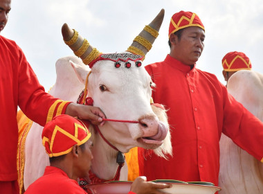 ซ้อมใหญ่ ครั้งที่ 2 พระราชพิธีพืชมงคลฯ 2569 พารามิเตอร์รูปภาพ 46