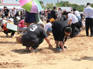 พระราชพิธีพืชมงคลจรดพระนังคัลแรกนาขวัญ ประจำปี 2569 พารามิเตอร์รูปภาพ 78