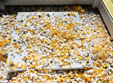 พิธีวางศิลาฤกษ์อาคาร “ห้องเรียนธรรมชาติ (Nature Classroom)” พารามิเตอร์รูปภาพ 32